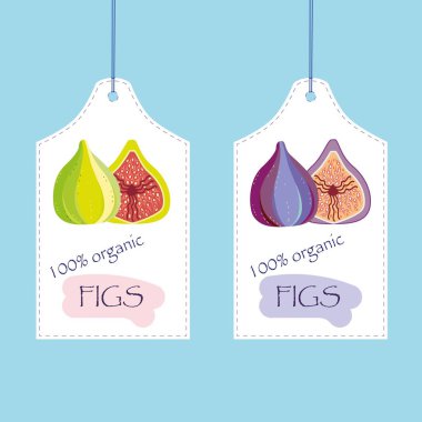 Taze incir meyvesinin resmi..