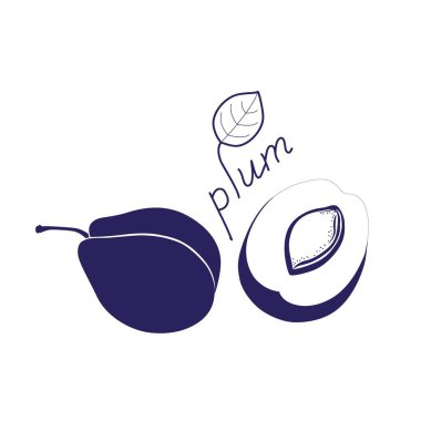 Erik silueti çizimi. Erik meyvesinin ana hatları.