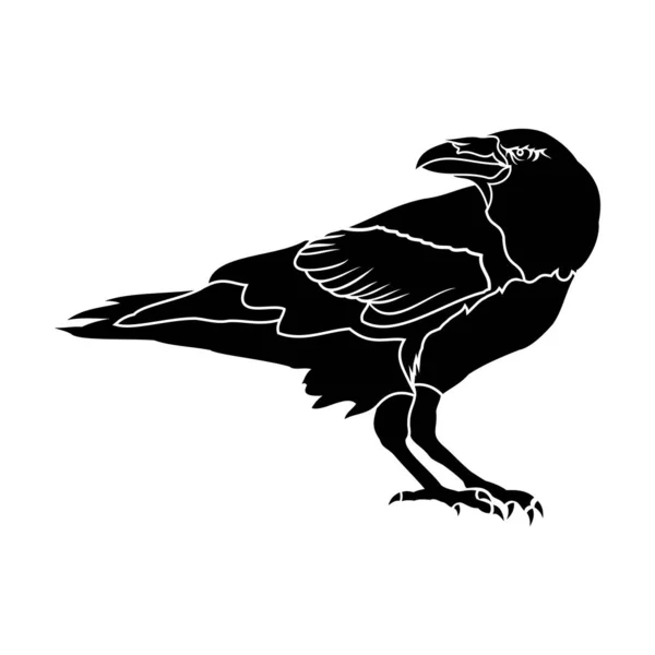 Crow_sil — Stock Vector