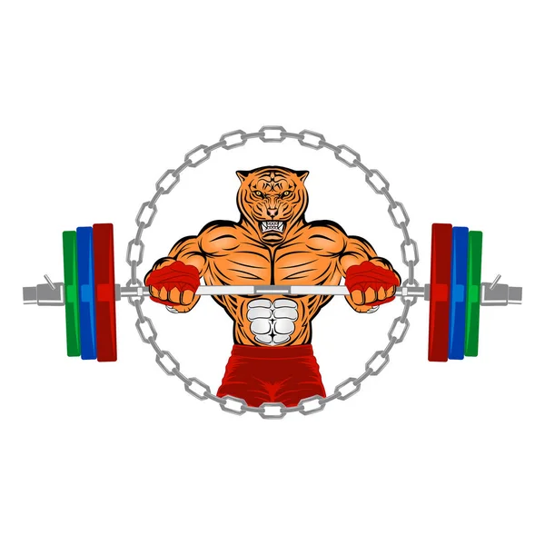 Tiger Mascot Bodybuilding Powerlifting Tribal Predator Holds Barbell Vector Illustrations — Stock Vector