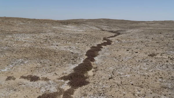 Saline soil. Iraq — Stock Photo, Image