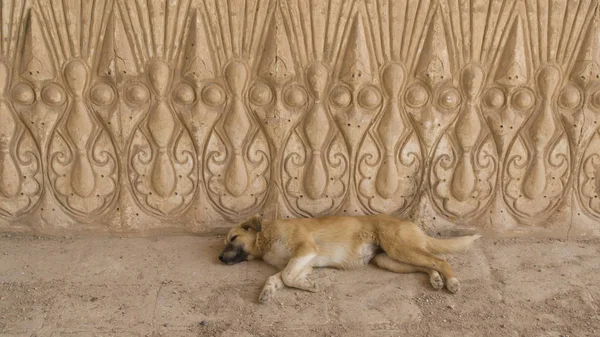 Каменная гравировка, Ирак — стоковое фото