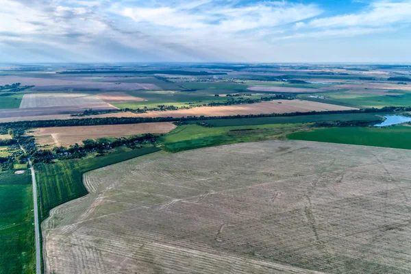 Rural flat landscape. Plowed and sown fields. Evening shooting.