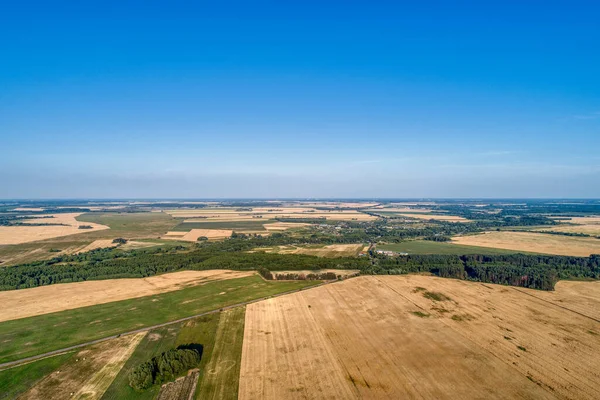 Rural flat landscape. Plowed and sown fields.