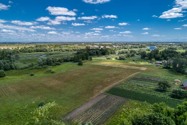 Rural flat landscape. Plowed and sown fields.