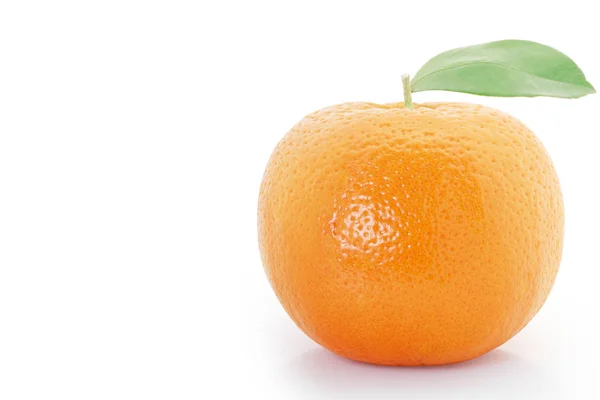 Orange  on white background — Stock Photo, Image