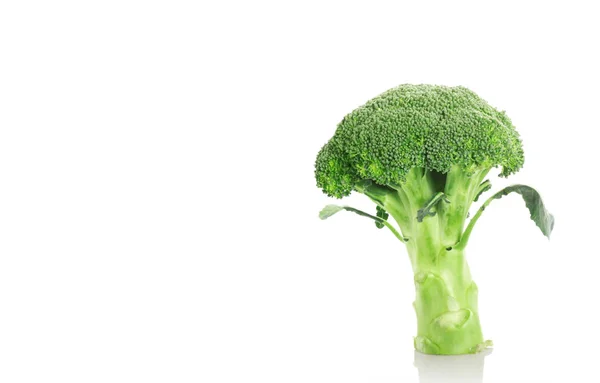 Broccoli — Stock Photo, Image