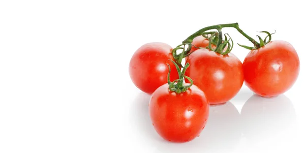 Tomatos — Stock Photo, Image