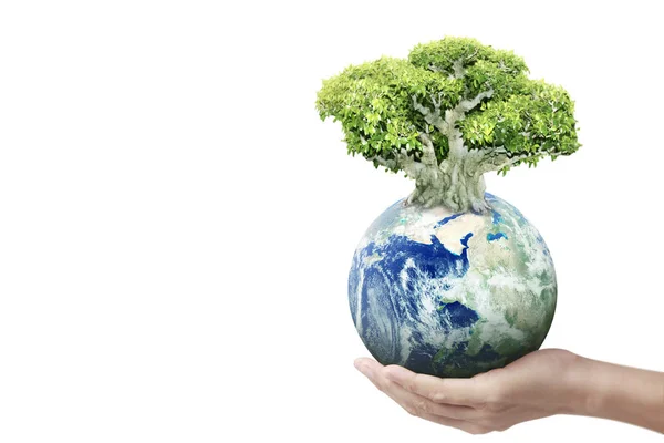 Globe ,earth in hand, holding our planet glowing. Earth image pr — Stock Photo, Image