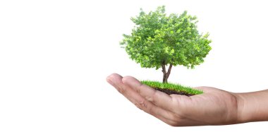 Tomurcuklanan fidanların arasında tomurcuklanan ağaçların arasında Dünya Günü.