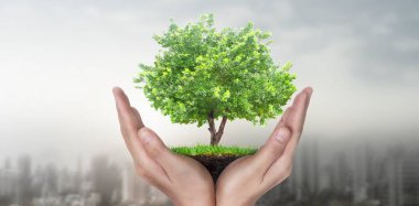Tomurcuklanan fidanların arasında tomurcuklanan ağaçların arasında Dünya Günü.