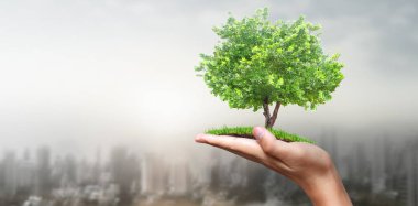 Tomurcuklanan fidanların arasında tomurcuklanan ağaçların arasında Dünya Günü.
