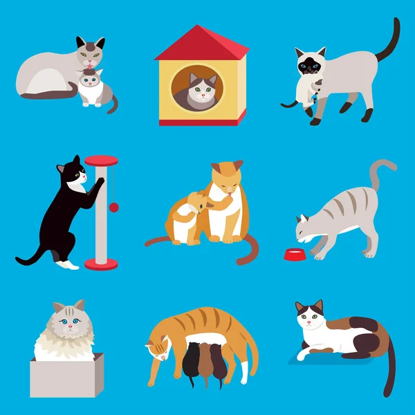 Conjunto Lindos Gatos Dibujos Animados Ilustración Vectorial — Archivo Imágenes Vectoriales