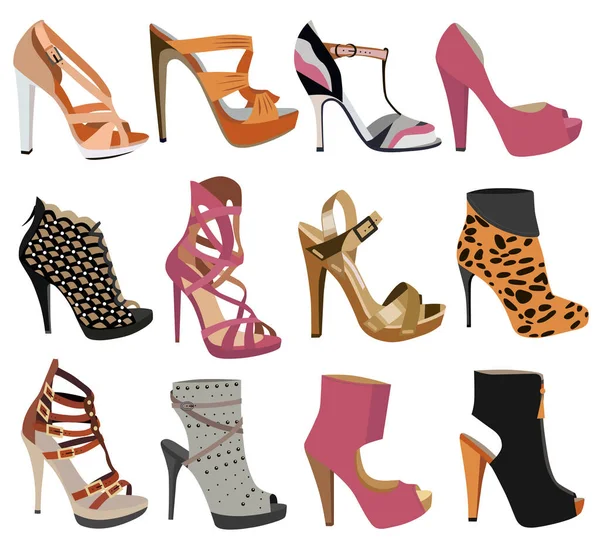 Coleção Sapatos Femininos Isolados Fundo Branco Vetor De Stock