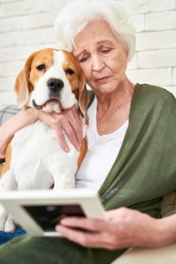 Üzgün kadın kıdemli holding fotoğraf ve hatırlamak kocası evde rahat koltukta otururken portre köpek sarılma
