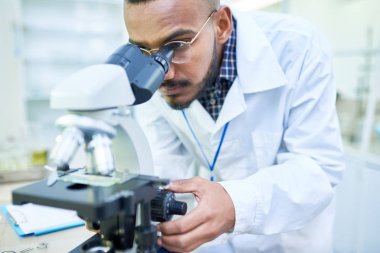 Laboratuvarda görüntü odak haline getirmek iyi odak topuzu mikroskop kullanarak ciddi konsantre genç Arap Erkek bilim adamı
