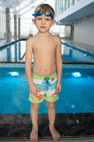 Confident cute boy in swimming shorts standing on edge of swimming pool and looking at camera in indoor pool with clean water