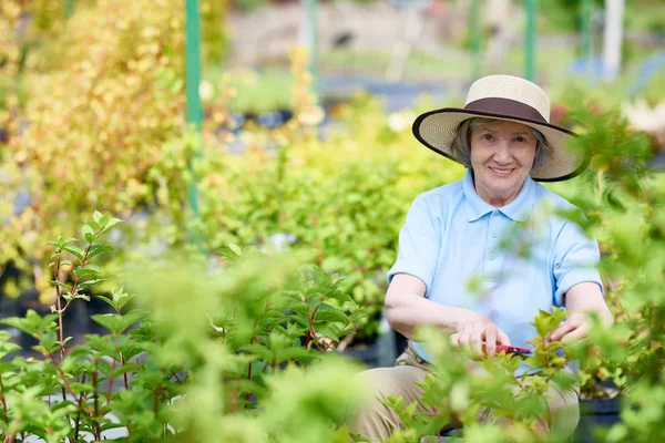 Portrait of nice old woman smiling to camera while working in garden cutting bush branches