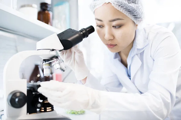 Ázsiai Női Tudós Keresi Mikroszkóp Rövid Idő Csinálás Kutatás Orvosi — Stock Fotó
