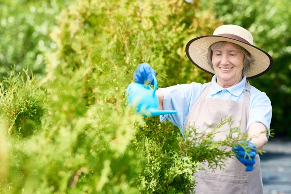 Potret Wanita Senior Yang Tersenyum Yang Bekerja Kebun Dan Semak — Stok Foto