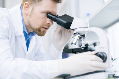 Genç erkek bilim adamı gıda beslenme özelliklerinin incelenmesi ve mikroskop altında örnekleri analiz laboratuvar kat görünümünü kırpma