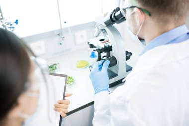 Araştırma çalışma ve laboratuvar masasında otururken mikroskop kullanarak iki bilim adamı portresi yüksek açı