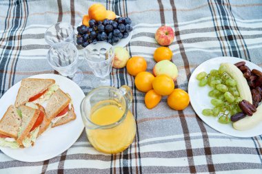 Üstten görünüm arka planını sandviç, meyve ve park piknik sırasında ekose battaniye suyu hafif yemek