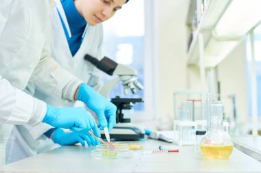 Grup lastik eldiven ve laboratuvar tezgah ayakta ve deney örnekleri sebze ile yerine getiren beyaz palto giyen genç bilim adamı