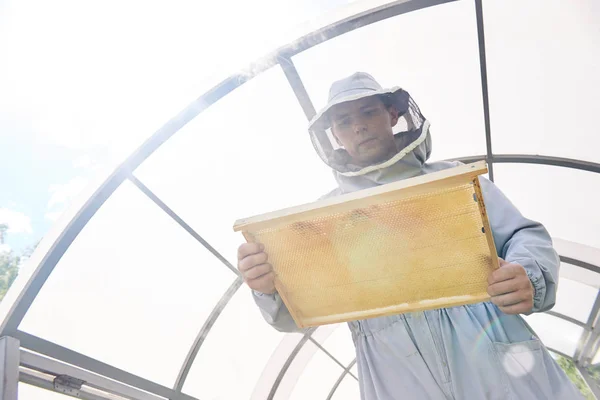 Χαμηλή Γωνία Πορτρέτο Του Νέος Μελισσοκόμος Κρατώντας Κυψέλη Πλαίσιο Γεμάτο — Φωτογραφία Αρχείου