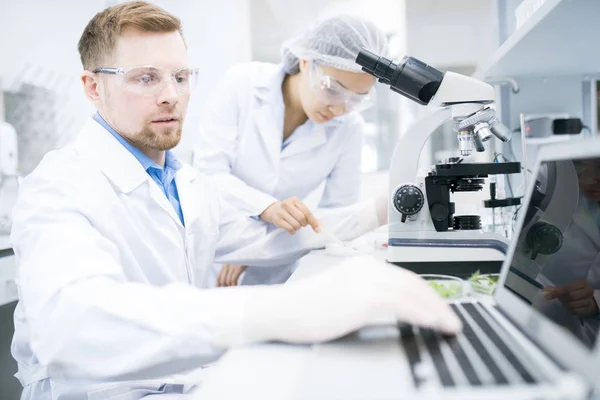 白色实验室中男性微生物学家的侧面查看在笔记本电脑上键入的键盘数据在测试食品营养特性的显微镜下与女性助理背景 — 图库照片