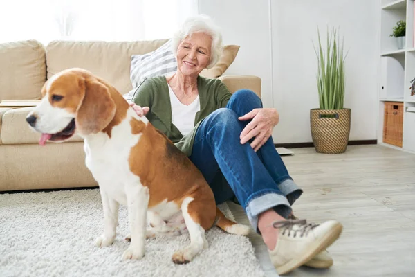 Full Length Portrait Happy Senior Woman Lovingly Caressing Pet Dog — Stock Photo, Image
