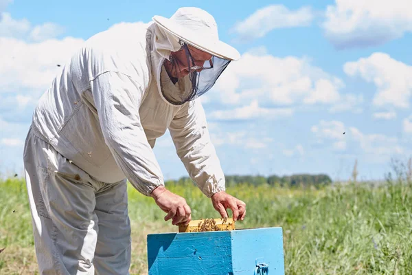 Kant Weergave Portret Van Volwassen Imker Korf Met Bijen Openen — Stockfoto