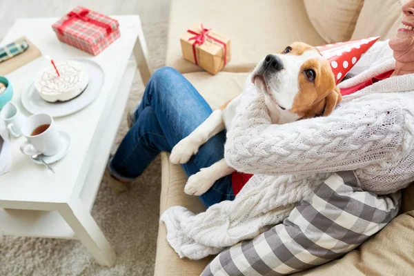 Hochwinkel Porträt Einer Glücklichen Seniorin Die Hund Auf Couch Umarmt — Stockfoto