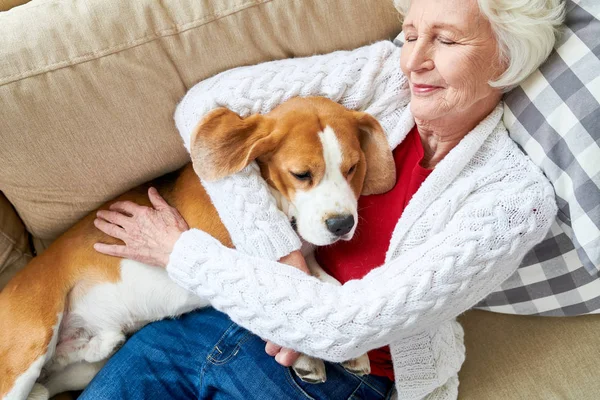 Direkt Über Der Ansicht Positiver Seniorin Weicher Strickjacke Die Lieblings — Stockfoto