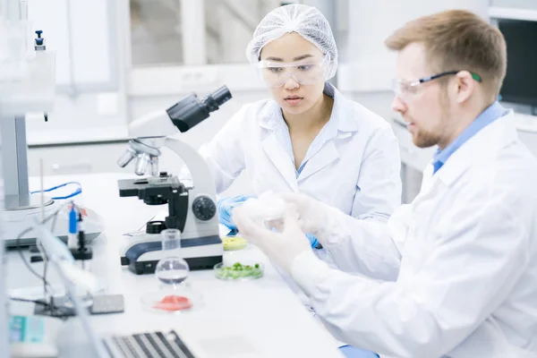 Retrato Dos Jóvenes Científicos Que Investigan Sustancias Laboratorio Moderno — Foto de Stock