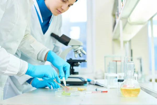 Group Young Scientists Wearing Rubber Gloves White Coats Standing Laboratory — Stock Photo, Image