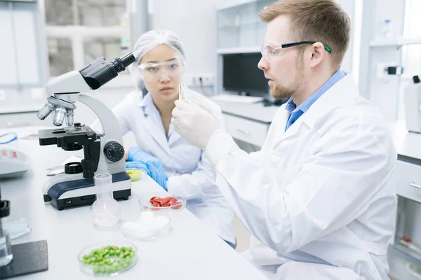 微生物学的作物观在实验室的大衣和眼镜坐在白色的桌子上显微镜 并期待着在男子举行的钳子肉样本兴奋 — 图库照片