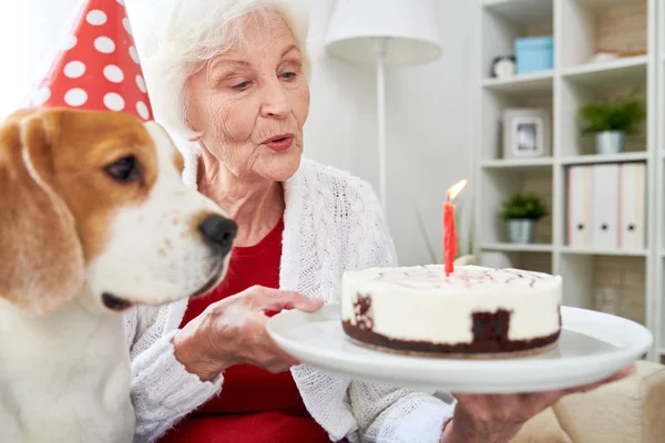 Positive Excited Senior Woman Holding Plate Delicious Cake Burning Candle — Stock Photo, Image