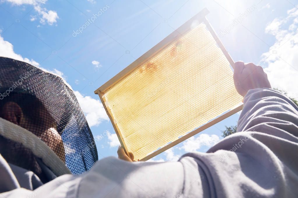 Low angle close up of unrecognizable beekeeper holding hive frame full of golden honey against clear blue sky, copy space