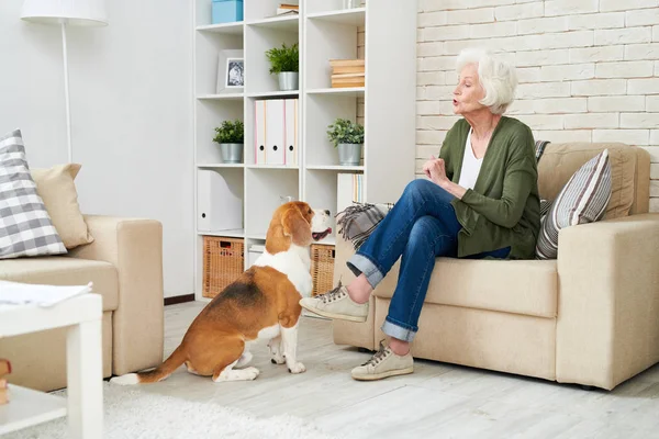 Retrato Larga Duración Una Elegante Mujer Mayor Hablando Con Perro — Foto de Stock