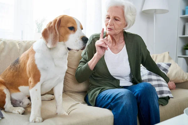 Portrait White Haired Senior Woman Talking Pet Dog Sitting Couch — Stock Photo, Image