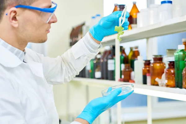 Visão Perfil Jovem Cientista Concentrado Vestindo Óculos Segurança Casaco Branco — Fotografia de Stock