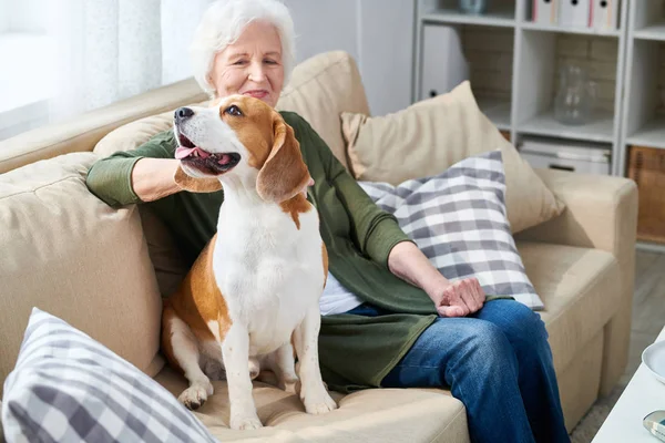 Retrato Mujer Mayor Elegante Acariciando Perro Mascota Sonriendo Felizmente Mientras —  Fotos de Stock