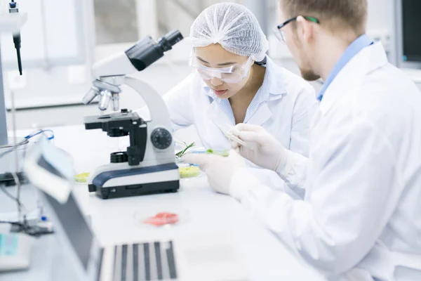 Retrato Dos Jóvenes Científicos Modernos Que Investigan Sustancias Laboratorio Espacio — Foto de Stock