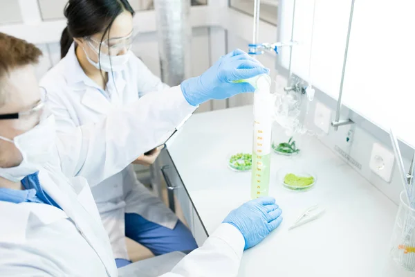 Retrato Ángulo Alto Dos Científicos Que Trabajan Investigación Alimentos Estudiando — Foto de Stock