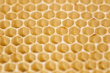 Makro görüntü balmumu ve ballı arı kovanı, kopya alanı içinde altın organik petek