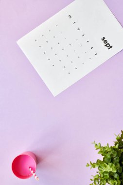 Üstten görünüm flatlay pastel mor arka plan parlak pembe milkshake ve yeşil bitki, kopya alanı yanında yatan Eylül için takvim sayfasının