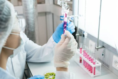 Kırpma, maske, gözlük ve eldiven masa başında oturan pembe sıvı ile tüp sebze örnek analiz microbiologists arkadan görünüm