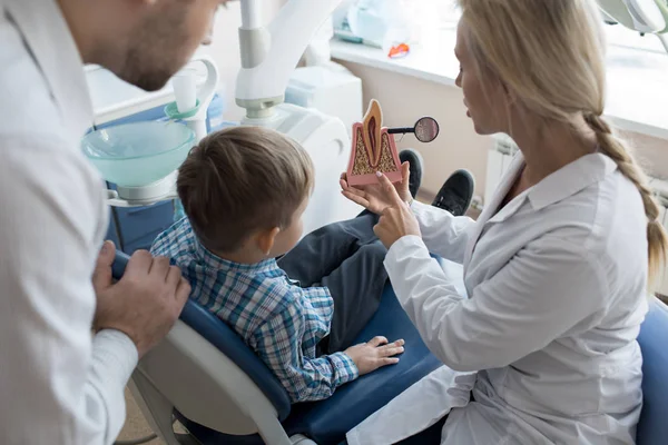 Portrait of female dentist holding tooth model showing it to little boy sitting in dental chair with father at his side