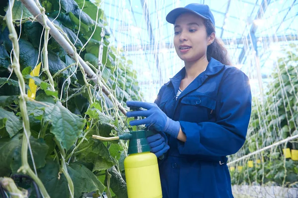Retrato Una Joven Que Trabaja Invernadero Plantación Vegetales Tratamiento Aerosol — Foto de Stock